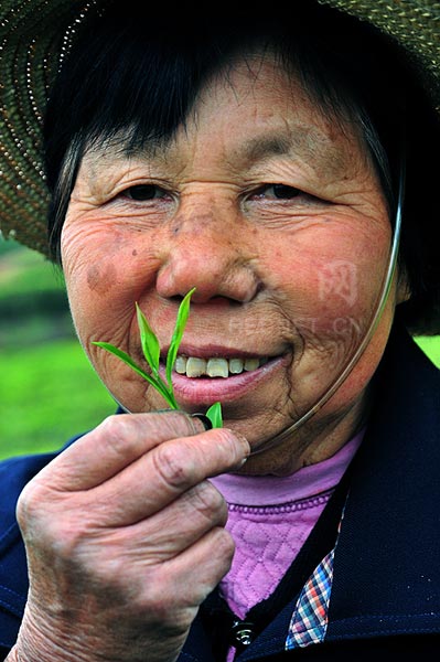 茶农风采