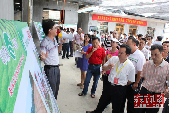 东南网记者走基层：合作社发展模式受安溪茶农热捧