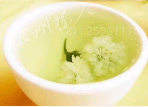 菊花茶