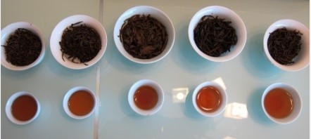 中国主要红茶水平品鉴