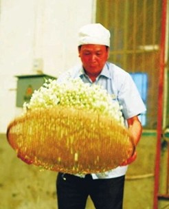 “老君眉”牌福州茉莉花茶现状