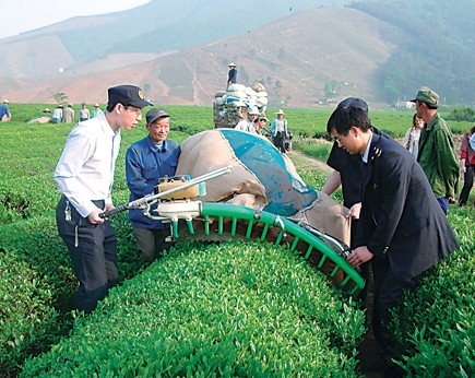 湖州茶农 新“茶经”致富记